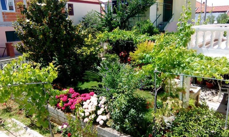 Apartment Matovina Zadar Eksteriør bilde
